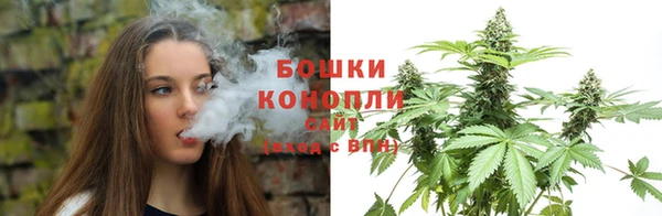 СК Зеленодольск