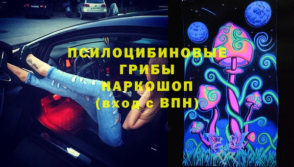эйфоретик Зеленокумск