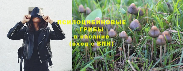 СК Зеленодольск