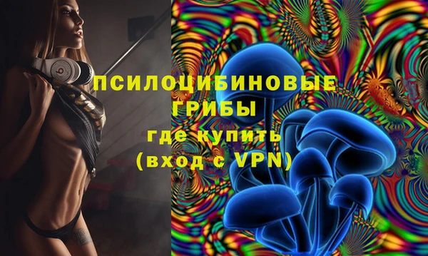 СК Зеленодольск