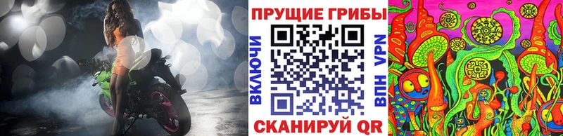 Псилоцибиновые грибы прущие грибы  закладки  OMG вход  Кингисепп 