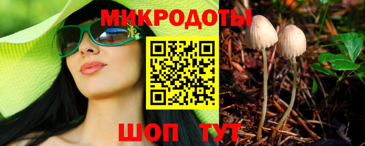Кингисепп  Галлюциногенные грибы Psilocybe  Вход с VPN 